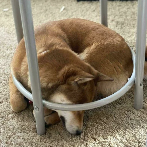 Sticker Стики @rp_party - 7