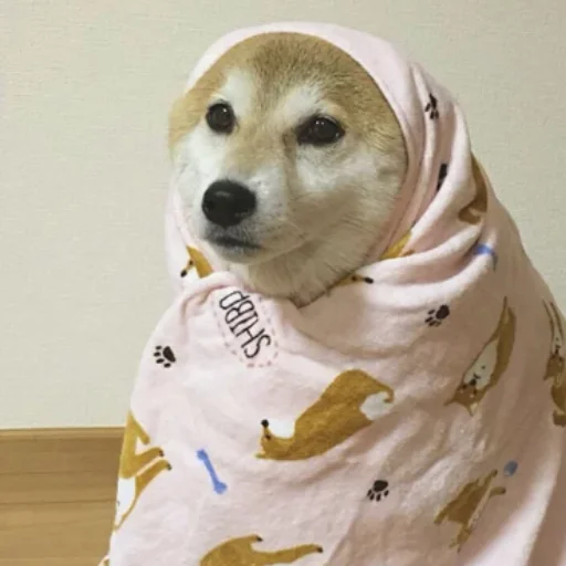 Sticker Стики @rp_party - 6