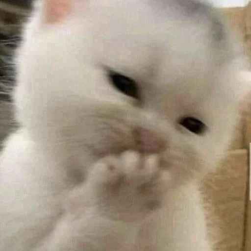 Sticker Стики @rp_party - 4