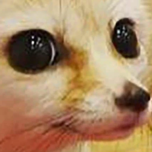 Sticker Стики @rp_party - 3