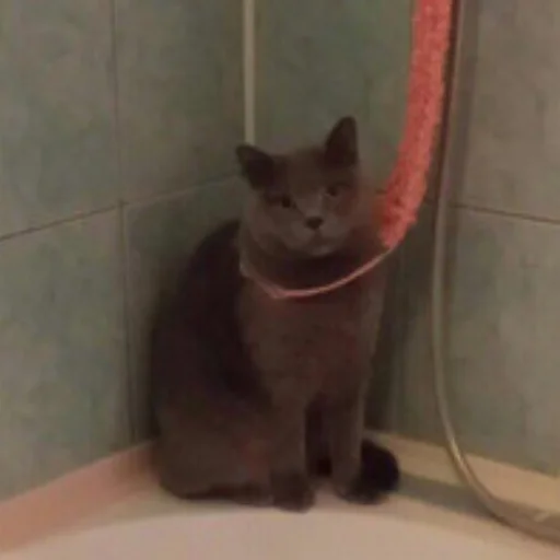 Sticker Стики @rp_party - 1