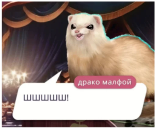 животное млекопитающее черноногий хорек