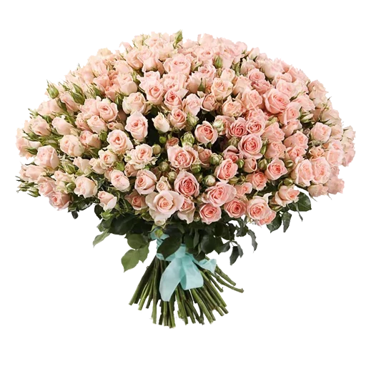 Sticker Stickerspink - 1