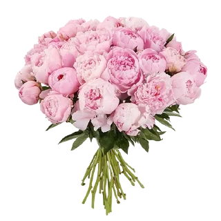 Sticker From @margaritagryazeva - 1