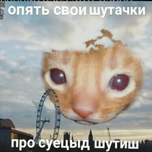 Sticker Стикерпак хохла by @fStikBot - 11