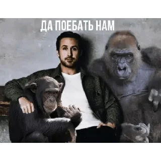 Стикер Райан Поебослинг :: PavloBozh - 2