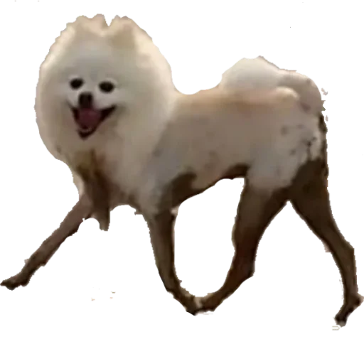 Стикер Хуикеры - 11