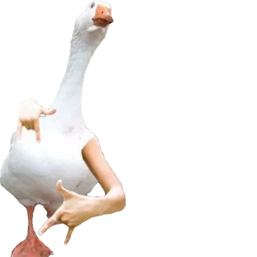 Стикер Хуикеры - 10