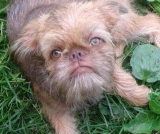 Sticker Sticks_mrzMazaika_II - 1