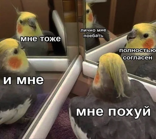 Sticker Sticks_mrzMazaika_II - 1