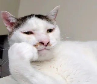 Стикер Sticks_mrz.Mazaika II - 1