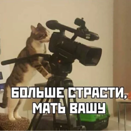 Sticker Sticksqrups - 1