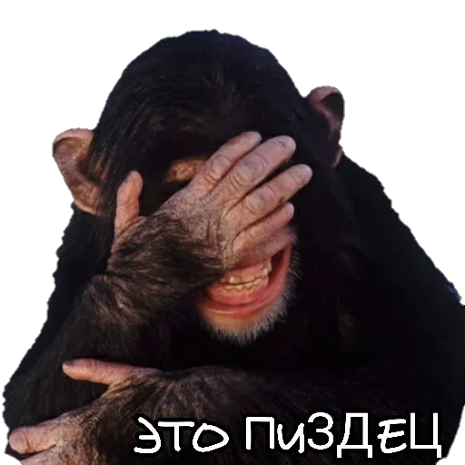 Sticker Sticksqrups - 1