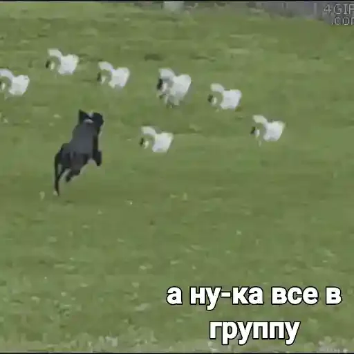 Sticker Sticksqrups - 1