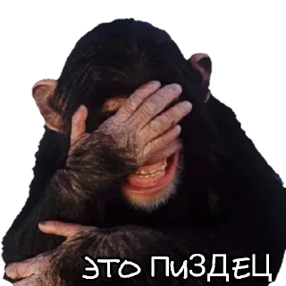 Sticker Стикерыдлягруппы (@wellness_sveta - 8