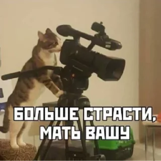 Sticker Стикерыдлягруппы (@wellness_sveta - 11