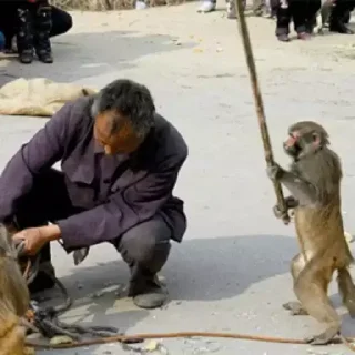 Sticker Стикерыдлягруппы (@wellness_sveta - 5