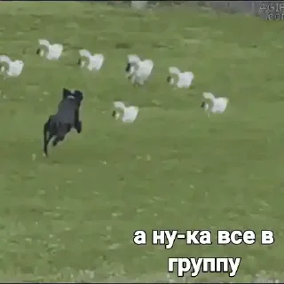 Sticker Стикерыдлягруппы (@wellness_sveta - 0