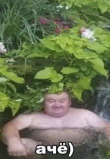 Стикер Стикер-пак Fester(а) @TgEmodziBot - 7