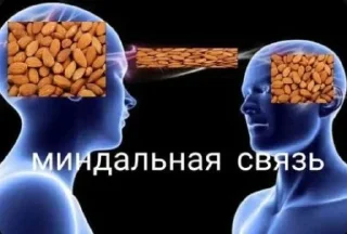 Стикер Стикер-пак Fester(а) @TgEmodziBot - 4