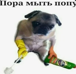 Стикер Стикер-пак Fester(а) @TgEmodziBot - 10