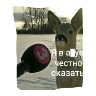 Стикер Стик - 4