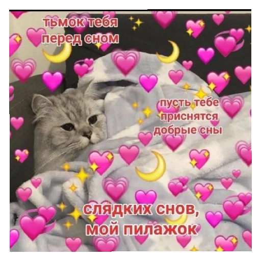 Стикер Stik2020 - 1