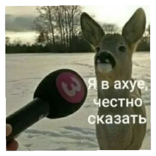 Стикер Стик2.0 - 1