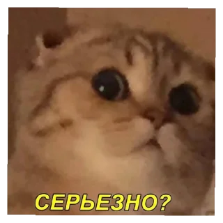 Стикер Стик2.0 - 11