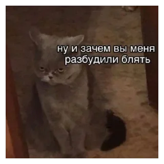 Стикер Стик2.0 - 8