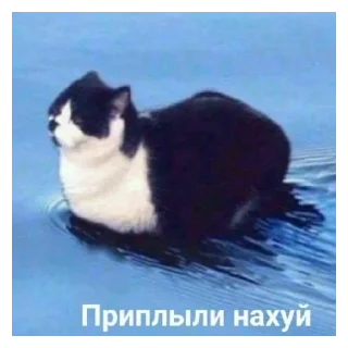 Стикер Стик2.0 - 9