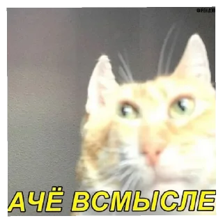 Стикер Стик2.0 - 5