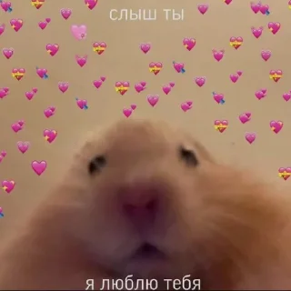 Sticker ❤️‍🔥 - 10