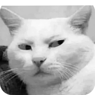 Sticker Ника - 8