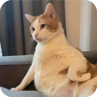 Sticker Ника - 7