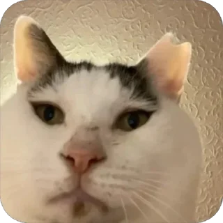 Стикер СтикерОчки - 4