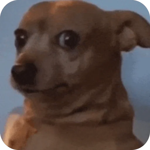 Стикер StikerPakEHduarda - 1