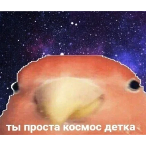 Sticker стикеры для группы - 5