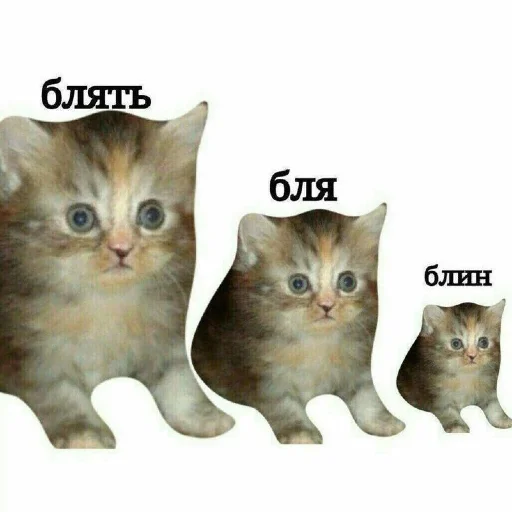 Sticker стикеры для группы - 1