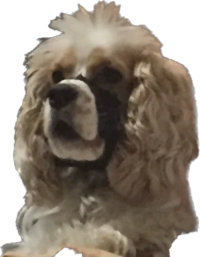 Стикер Мои стикеры - 11