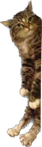 Стикер Мои стикеры - 9