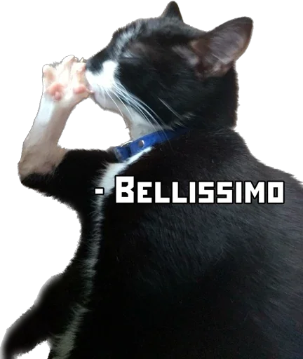 Стикер Мои стикеры - 7