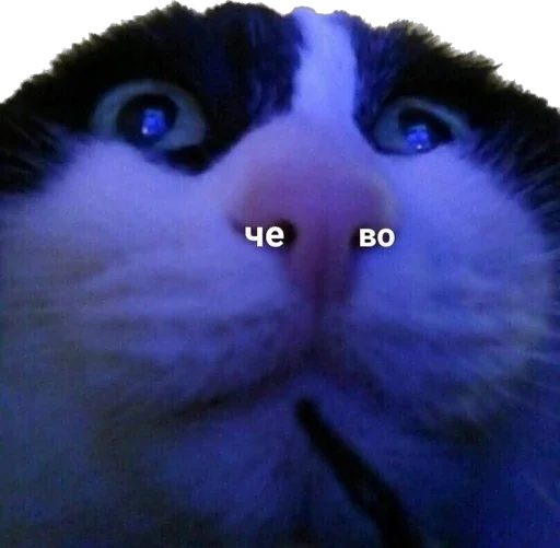 Стикер Мои стикеры - 3