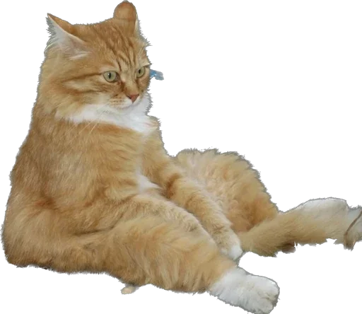 Стикер Мои стикеры - 2