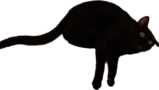 Стикер Мои стикеры - 1