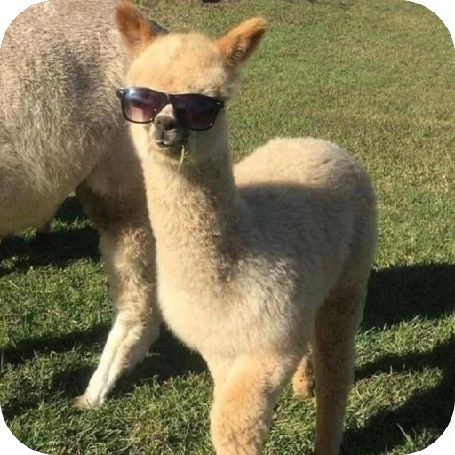 Стикерочки - 