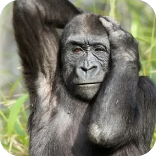 Стикер Стикерочки - 5