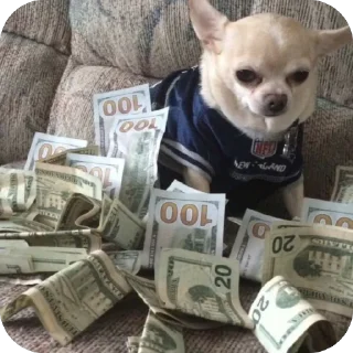 Стикер Стикерочки - 11