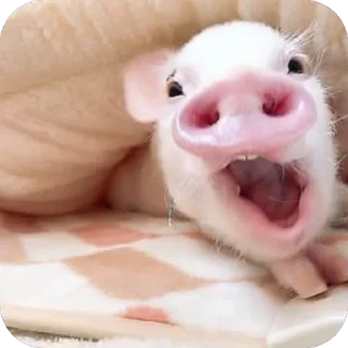 Стикер Стикерочки - 4