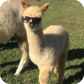 Стикер Стикерочки - 8